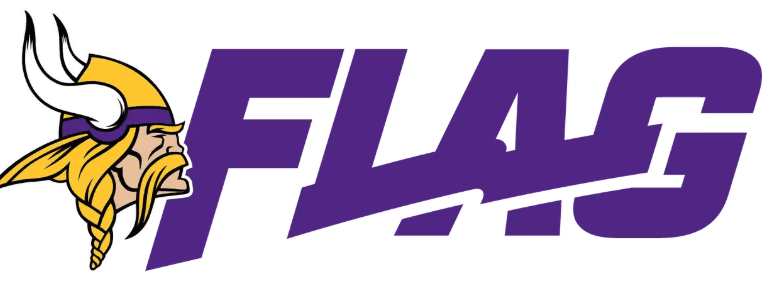 Vikings Flag logo